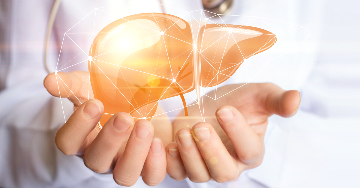 ฝีตับอะมีบา,ฝีตับ,ฝีบิดในตับ