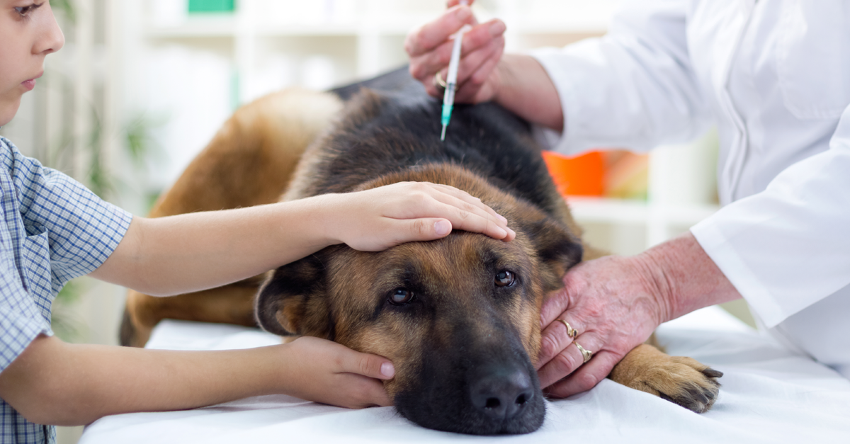 โรคพิษสุนัขบ้า,พิษสุนัขบ้า,โรคกลัวน้ำ