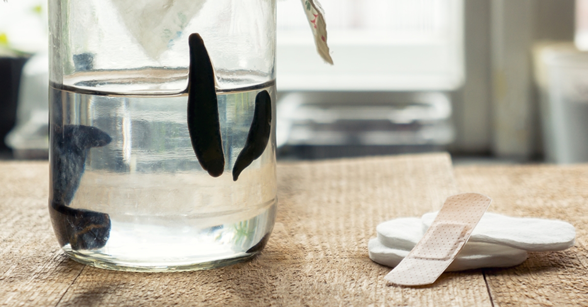 ปลิงเข้าอวัยวะ